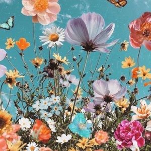 Meet your Posher, Molly